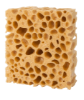 Picture of Sponge