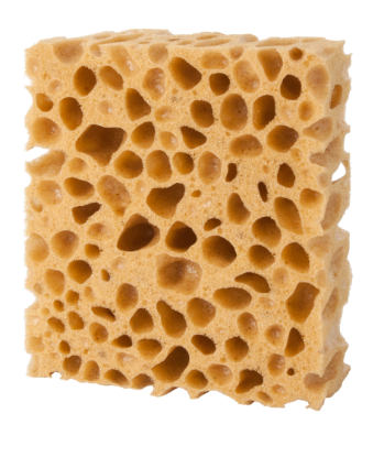 Picture of Sponge