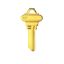 Picture of SC1-BR Key