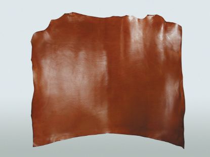 Picture of Zaenc Cowhide Black 